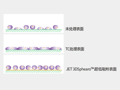 超低吸附表面具有共價結(jié)合的水凝膠層，具有極強(qiáng)的抗蛋白吸附性和抗細(xì)胞貼壁性，可有效抑制細(xì)胞附著