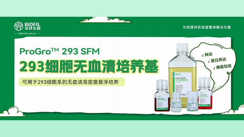 新品上線(xiàn) | 不會(huì)還有人養(yǎng)不好293細(xì)胞吧？！