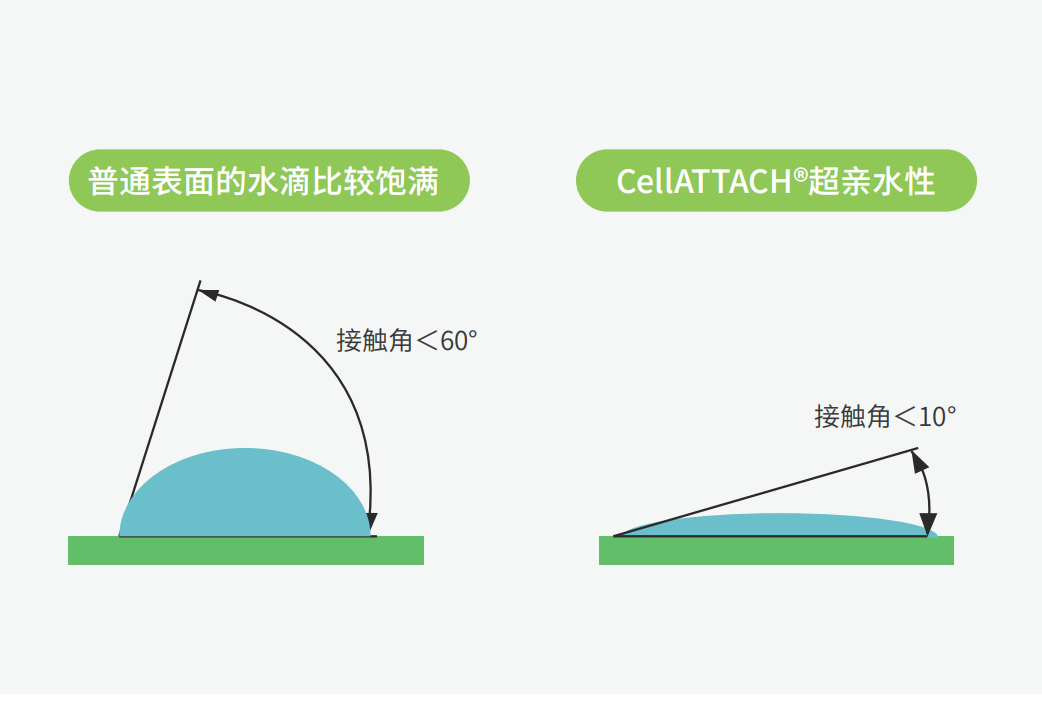 獨特的超親水表面處理技術(shù)，能為細胞提供更好的吸附性，促進細胞快速貼壁生長，提高產(chǎn)量